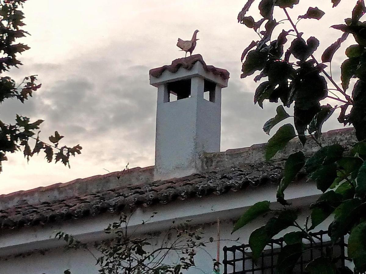 Cigarral De La Peraleda Toledo Lägenhet Exteriör bild
